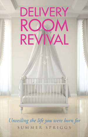 Delivery Room Revival de Summer Spriggs