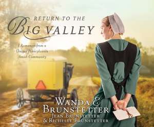 The Return to the Big Valley de Wanda E. Brunstetter