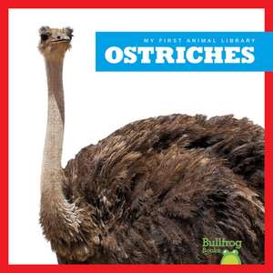 Ostriches de Penelope S Nelson