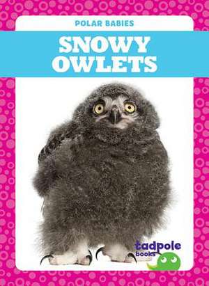 Snowy Owlets de Genevieve Nilsen