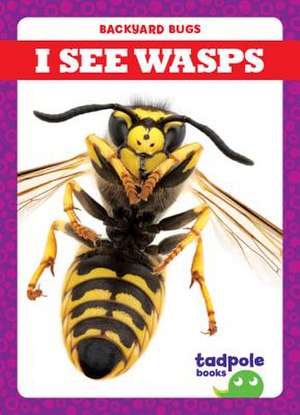 I See Wasps de Genevieve Nilsen