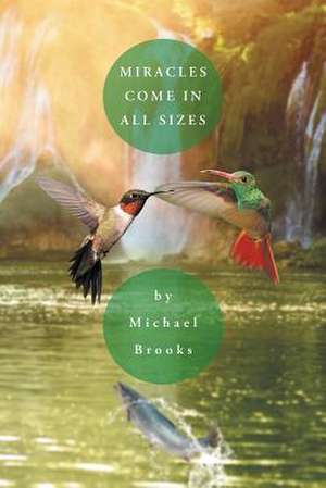 Miracles Come in All Sizes de Michael Brooks