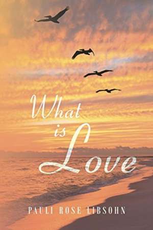 What is Love de Pauli Rose Libsohn