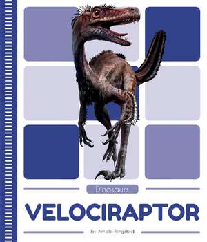 Velociraptor de Arnold Ringstad