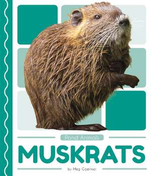 Muskrats de Meg Gaertner