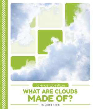 What Are Clouds Made Of? de Debbie Vilardi