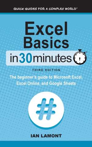 Excel Basics In 30 Minutes de Ian Lamont