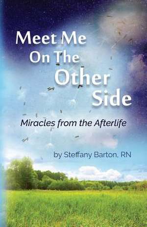 Meet Me on the Other Side de Barton, Rn Steffany