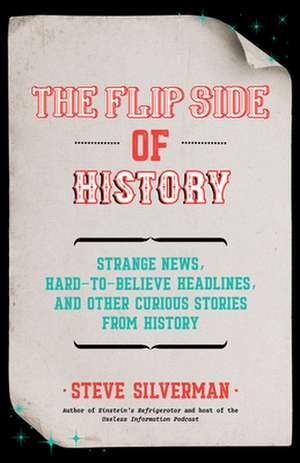 Flip Side of History de Steve Silverman