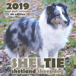 Sheltie de Over the Wall Dogs