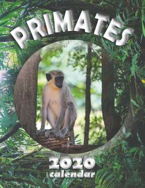 Primates 2020 Calendar de Wall Publishing