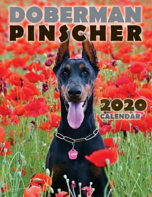 Doberman Pinscher 2020 Calendar de Over the Wall Dogs