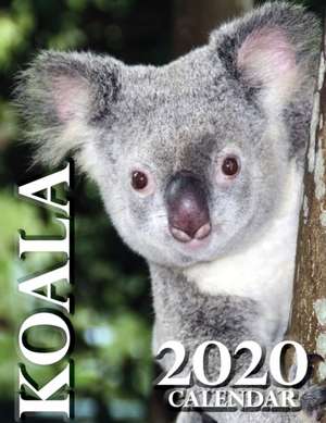 Koala 2020 Calendar de Wall Publishing