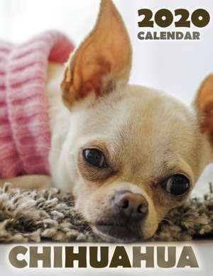 Chihuahua 2020 Calendar de Over the Wall Dogs