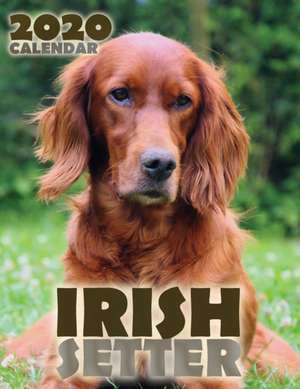 Irish Setter 2020 Calendar de Over the Wall Dogs