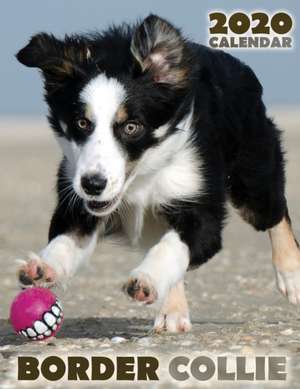 Border Collie 2020 Calendar de Over the Wall Dogs