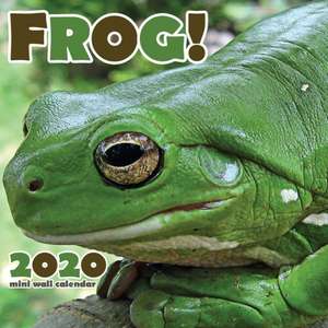 Frog! 2020 Mini Wall Calendar de Wall Publishing