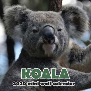 Koala 2020 Mini Wall Calendar de Wall Publishing