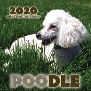 Poodle 2020 Mini Wall Calendar de Over the Wall Dogs