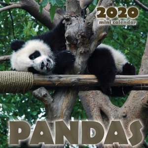 Pandas 2020 Mini Wall Calendar de Wall Craft Calendars