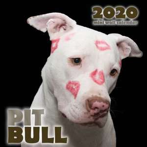 Pit Bull 2020 Mini Wall Calendar de Over the Wall Dogs