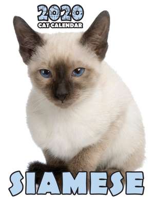 Siamese 2020 Cat Calendar de Climbing Wall Cats