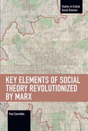 Key Elements of Social Theory Revolutionized by Marx de Paul Zarembka