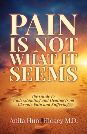 Pain Is Not What It Seems: The Guide to Understanding and Healing from Chronic Pain and Suffering de Anita Hunt Hickey