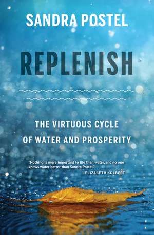 Replenish: The Virtuous Cycle of Water and Prosperity de Sandra Postel