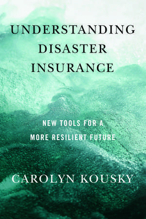 Understanding Disaster Insurance: New Tools for a More Resilient Future de Carolyn Kousky