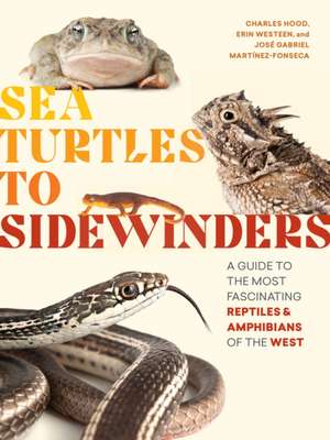 Sea Turtles to Sidewinders de Charles Hood