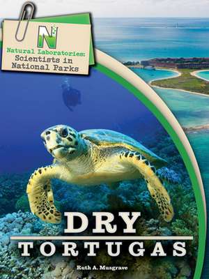 Dry Tortugas de Ruth A. Musgrave