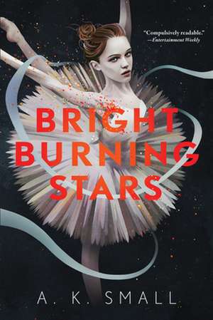 Bright Burning Stars de A K Small