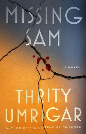 Missing Sam de Thrity Umrigar