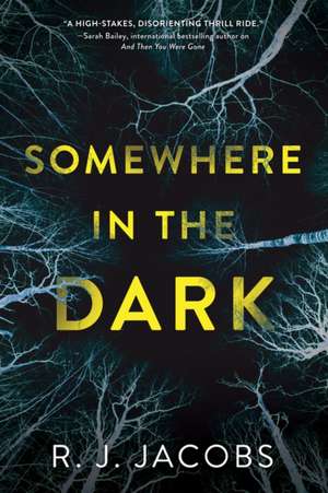 Somewhere in the Dark de R. J. Jacobs