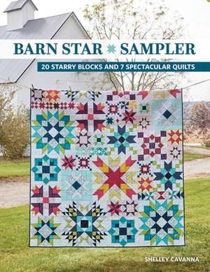 Barn Star Sampler de Shelley Cavanna