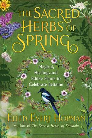 The Sacred Herbs of Spring: Magical, Healing, and Edible Plants to Celebrate Beltaine de Ellen Evert Hopman