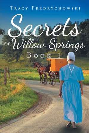 Secrets of Willow Springs de Tracy Fredrychowski