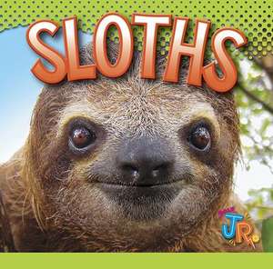 Sloths de Marysa Storm