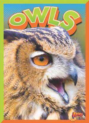 Owls de Nicki Clausen-Grace