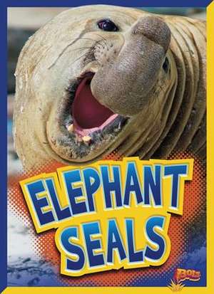 Elephant Seals de Gail Terp