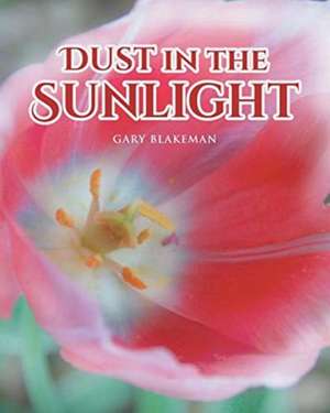 Dust in the Sunlight de Gary Blakeman