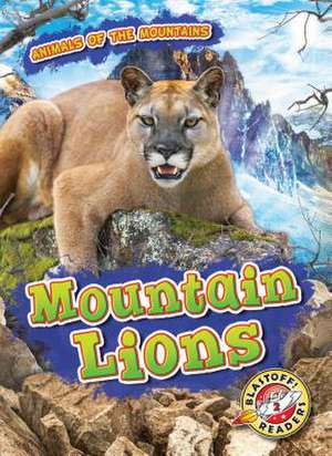 Mountain Lions de Lindsay Shaffer