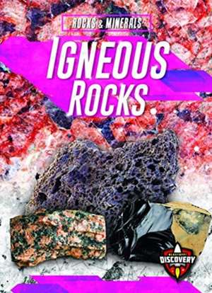 Igneous Rocks de Jennifer Fretland VanVoorst