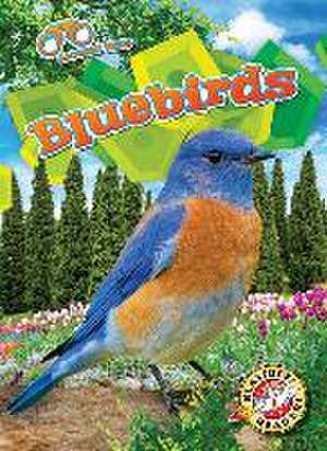 Bluebirds de Rachael Barnes