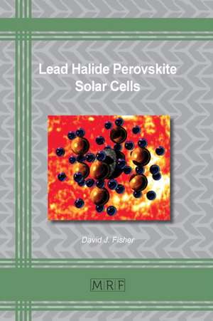 Lead Halide Perovskite Solar Cells de David J. Fisher