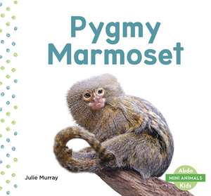 Pygmy Marmoset de Julie Murray