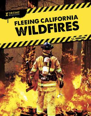 Fleeing California Wildfires de John Hamilton