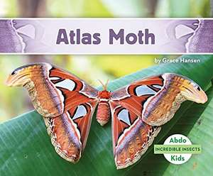 Atlas Moth de Grace Hansen