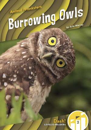 Burrowing Owls de Julie Murray